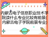 内蒙古电子信息职业技术学院读什么专业比较有前景(内蒙古电子学院前景专业)