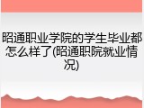 昭通职业学院的学生毕业都怎么样了(昭通职院就业情况)