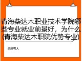 青海柴达木职业技术学院哪些专业就业前景好，为什么(青海柴达木职院优势专业)