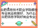合肥信息技术职业学院哪些专业就业前景好，为什么(合肥信息学院好就业专业)