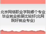 北京网络职业学院哪个专业毕业就业前景比较好(北网院好就业专业)