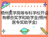 梧州医学高等专科学校开设有哪些奖学和助学金(梧州医专奖助学金)