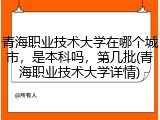 青海职业技术大学在哪个城市，是本科吗，第几批(青海职业技术大学详情)