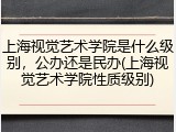 上海视觉艺术学院是什么级别，公办还是民办(上海视觉艺术学院性质级别)