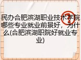 民办合肥滨湖职业技术学院哪些专业就业前景好，为什么(合肥滨湖职院好就业专业)