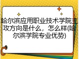 哈尔滨应用职业技术学院主攻方向是什么，怎么样(哈尔滨学院专业优势)