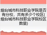 烟台城市科技职业学院是否有分校，共有多少个校区(烟台城市科技职业学院校区数量)