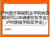 泸州医疗器械职业学院就读期间可以申请哪些奖学金(泸州医械学院奖学金)