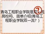 青岛工程职业学院是双一流高校吗，简单介绍(青岛工程职业学院双一流？)