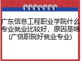 广东信息工程职业学院什么专业就业比较好，原因是啥(广信职院好就业专业)