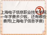 上海电子信息职业技术学院一年学费多少钱，还有哪些费用(上海电子信息学费)