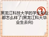 黑龙江科技大学的学生毕业都怎么样了(黑龙江科大毕业生去向)