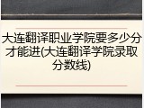 大连翻译职业学院要多少分才能进(大连翻译学院录取分数线)
