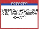 扬州市职业大学是双一流高校吗，简单介绍(扬州职大双一流？)