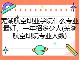 芜湖航空职业学院什么专业最好，一年招多少人(芜湖航空职院专业人数)