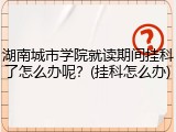 湖南城市学院就读期间挂科了怎么办呢？(挂科怎么办)