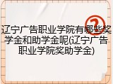 辽宁广告职业学院有哪些奖学金和助学金呢(辽宁广告职业学院奖助学金)