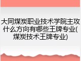 大同煤炭职业技术学院主攻什么方向有哪些王牌专业(煤炭技术王牌专业)