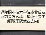 铜陵职业技术学院毕业后就业前景怎么样，毕业生去向(铜陵职院就业去向)