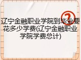 辽宁金融职业学院到毕业要花多少学费(辽宁金融职业学院学费总计)