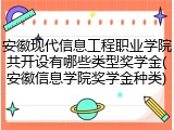 安徽现代信息工程职业学院共开设有哪些类型奖学金(安徽信息学院奖学金种类)