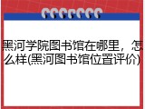 黑河学院图书馆在哪里，怎么样(黑河图书馆位置评价)