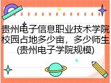贵州电子信息职业技术学院校园占地多少亩，多少师生(贵州电子学院规模)