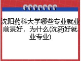 沈阳药科大学哪些专业就业前景好，为什么(沈药好就业专业)