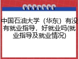 中国石油大学（华东）有没有就业指导，好就业吗(就业指导及就业情况)