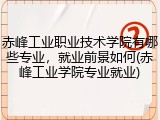 赤峰工业职业技术学院有哪些专业，就业前景如何(赤峰工业学院专业就业)