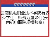 云南机电职业技术学院有多少学生，师资力量如何(云南机电职院规模师资)