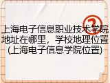 上海电子信息职业技术学院地址在哪里，学校地理位置(上海电子信息学院位置)