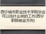 西宁城市职业技术学院毕业可以找什么样的工作(西宁职院就业方向)