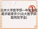 北京大学医学部一年奖学金最多能拿多少(北大医学部最高奖学金)