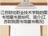 江苏财经职业技术学院的图书馆藏书量如何，简介(江苏财院图书馆藏书概况)