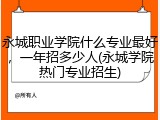 永城职业学院什么专业最好，一年招多少人(永城学院热门专业招生)