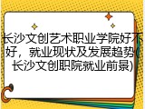 长沙文创艺术职业学院好不好，就业现状及发展趋势(长沙文创职院就业前景)