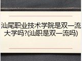 汕尾职业技术学院是双一流大学吗?(汕职是双一流吗)