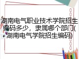 湖南电气职业技术学院招生编码多少，隶属哪个部门(湖南电气学院招生编码)