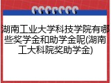 湖南工业大学科技学院有哪些奖学金和助学金呢(湖南工大科院奖助学金)