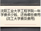 沈阳工业大学工程学院一年学费多少钱，还有哪些费用(沈工大学费及费用)