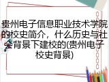 贵州电子信息职业技术学院的校史简介，什么历史与社会背景下建校的(贵州电子校史背景)