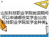 山东科技职业学院就读期间可以申请哪些奖学金(山东科技职业学院奖学金种类)