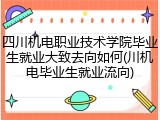 四川机电职业技术学院毕业生就业大致去向如何(川机电毕业生就业流向)