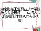湖南财经工业职业技术学院什么专业最好，一年招多少人(湖南财工院热门专业人数)