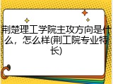荆楚理工学院主攻方向是什么，怎么样(荆工院专业特长)
