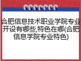 合肥信息技术职业学院专业开设有哪些,特色在哪(合肥信息学院专业特色)