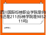 四川国际标榜职业学院是985还是211(标榜学院是985211吗)