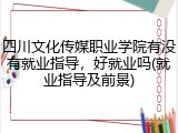四川文化传媒职业学院有没有就业指导，好就业吗(就业指导及前景)