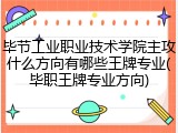 毕节工业职业技术学院主攻什么方向有哪些王牌专业(毕职王牌专业方向)